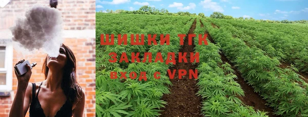 амф Богданович