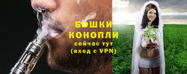 амф Богданович
