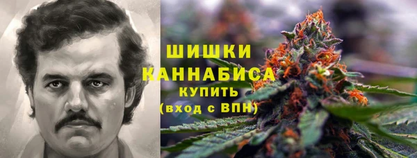 таблы Богородицк