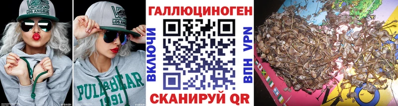 наркотики Нелидово Галлюциногенные грибы Psilocybine cubensis
